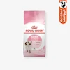 غذای خشک بچه گربه رویال کنین Kitten با پروتئین مرغ، فیبر 2 درصد، چربی 25 درصد، مواد معدنی 7 درصد