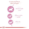 غذای خشک بچه گربه رویال کنین Kitten با پروتئین مرغ، فیبر 2 درصد، چربی 25 درصد، مواد معدنی 7 درصد