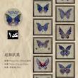 چسب واشی butterfly frame ✨