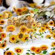🌸 پک استیکر Bloom collection ( پک 100 تایی )