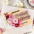 🌺 پک استیکر Flower dream 🌺