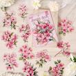 🌺 پک استیکر Flower dream 🌺