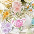 🌸 Watercolor Flowers 🌸