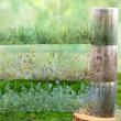 چسب واشی Floral strings 🌺🌸