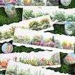 چسب واشی Wild Flowers
