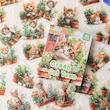 🐈🐈‍⬛ استیکرباکس cute cats