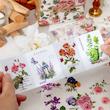 🌸 دفترچه استیکر  50 برگ 🌸