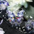 چسب واشی shiny butterfly 🦋✨