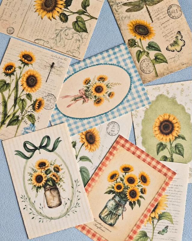 🌻 پک تمساز آفتابگردون 🌻