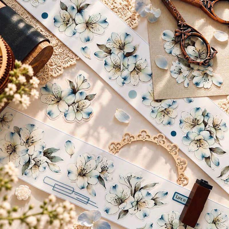 واشی Blue Beginning 🩵