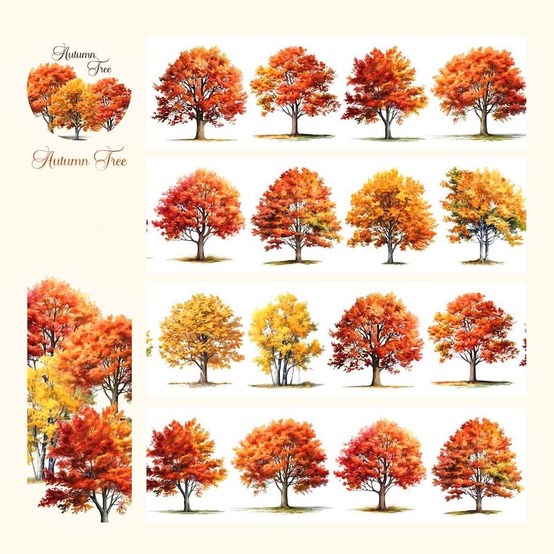 🍁 واشی Autumn tree 🍁