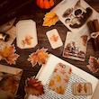 پک وینتیجی پاییز