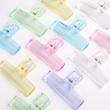 Pastel Clip