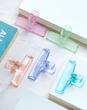 Pastel Clip