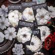 🌸 پک استیکر Flower Scence 🌸