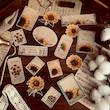 🌻 پک کرافتی آفتابگردان وینتیج 🌻
