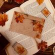 🍁 پک وینتیجی پاییز 🍁