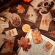 🍁 پک وینتیجی پاییز 🍁