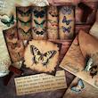 🦋 پک کرافتی پروانه وینتجی 🦋
