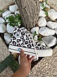 Leopard platform converse