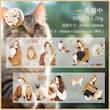رول استیکر شفاف PET tape سری Cat and Dog