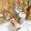 رول استیکر شفاف PET tape سری Cat and Dog