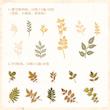ست ترکیبی پاییزی Forest Leaf Series