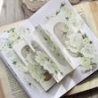 رول استیکر PET tape گل سری Green Forest Flowers 