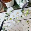رول استیکر PET tape گل سری White Praise