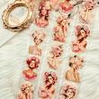 رول استیکر PET دخترونه سری ِ Pinky World🩷🌸