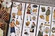 رول استیکر PET tape دخترونه OKMT - Vintage Girls 