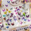 پک استیکر شفاف سری ِ world of butterflies 