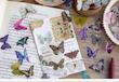 پک استیکر شفاف سری ِ world of butterflies 