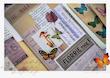 پک استیکر شفاف سری ِ world of butterflies 