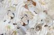 رول استیکر شفاف PET tape مدل Gone With The Wind 