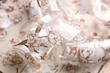 رول استیکر شفاف PET tape مدل  Little Flower Fairy