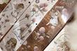 رول استیکر شفاف PET tape مدل Lasting Eminence