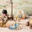 ست استیکر فانتزی سری Peter Rabbit Life 🐰🌱