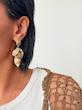 گوشواره های ساحلی صدفی