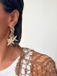 گوشواره های ساحلی ستاره دریایی
