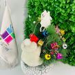 درخت کریسمس و خرس
