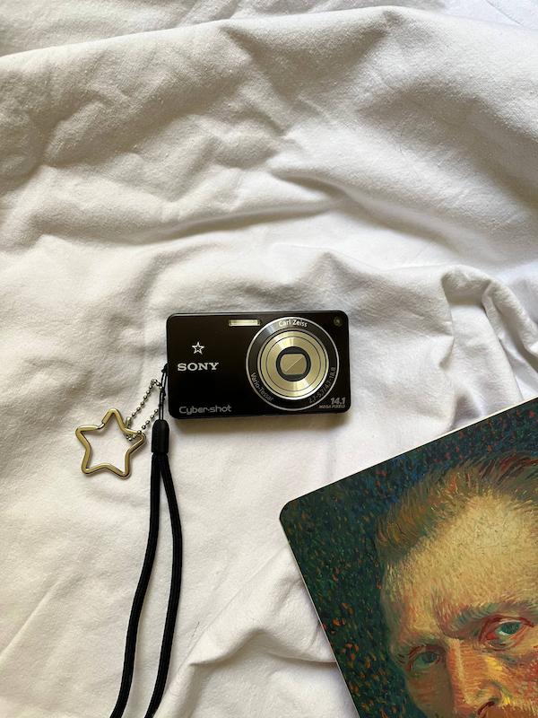 Sony sybershot DSC-W350