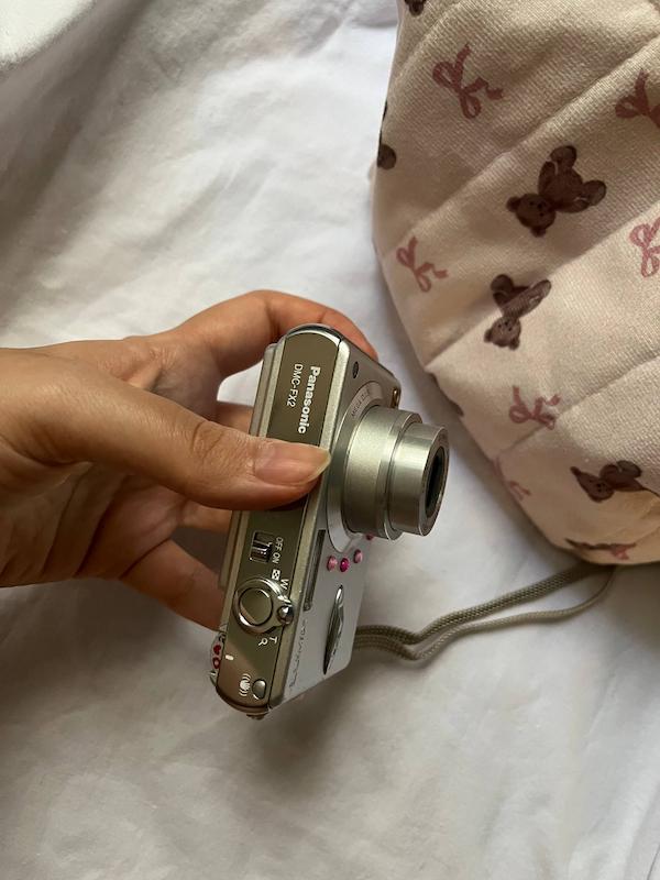Panasonic LUMIX DMC-FX2