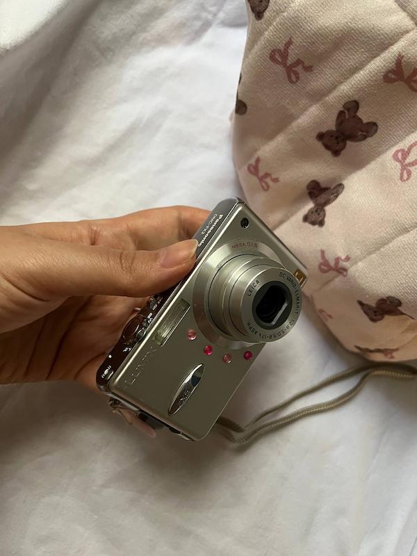 Panasonic LUMIX DMC-FX2