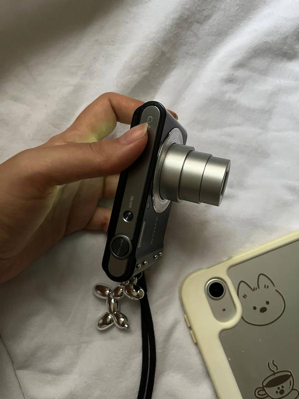 Sony sybershot DSC-W800