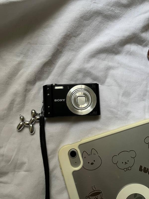 Sony sybershot DSC-W800