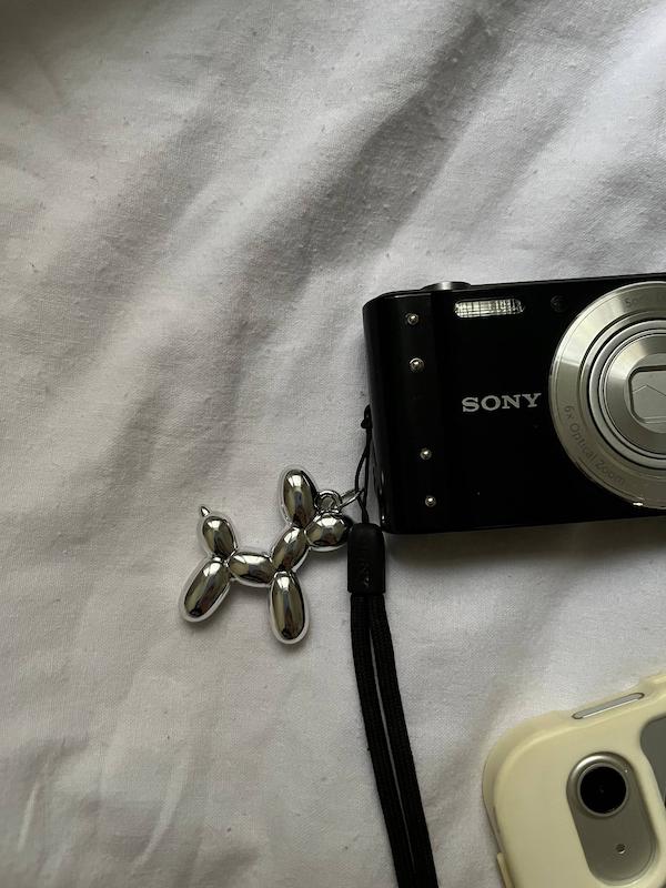 Sony sybershot DSC-W800