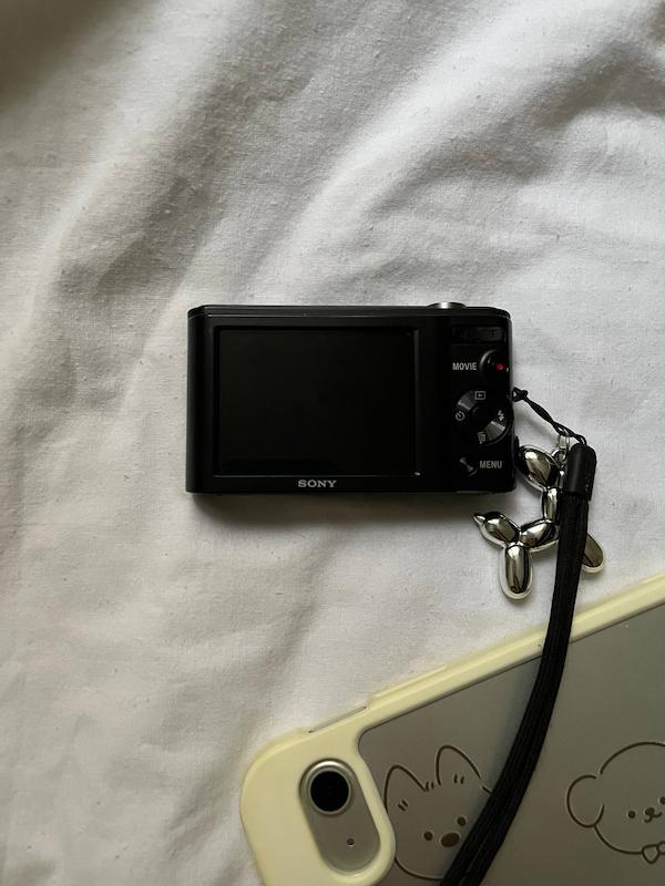 Sony sybershot DSC-W800
