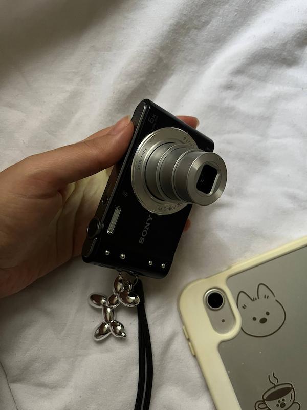 Sony sybershot DSC-W800
