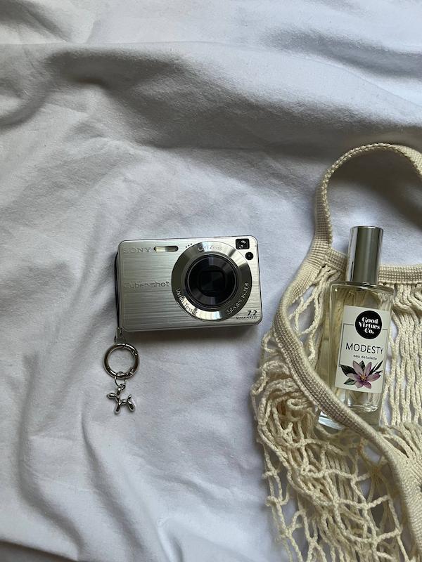 Sony sybershot DSC-W120
